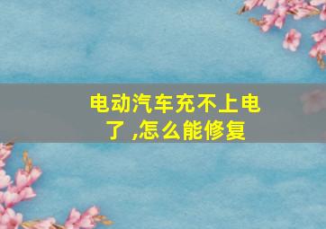 电动汽车充不上电了 ,怎么能修复